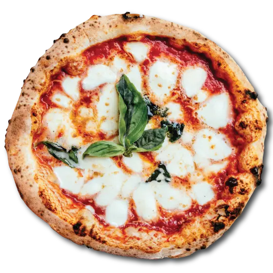 Margherita pizza